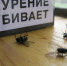 704d4390-3675-11e8-b2d6-93d18d63dbd6.jpg - Городок