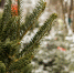 image_3408.jpg - Городок