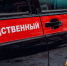 В новогоднюю ночь в Кузбассе собака насмерть загрызла годовалого ребенка - Городок