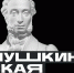  ﻿Почти 3000 киселевских школьников и студентов оформили «Пушкинскую карту» - Городок