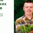 Фестиваль СВОЕ.jpg - Городок