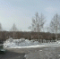 В Киселевске около 1800 жителей вышли на общегородскую уборку - Городок