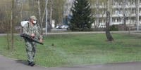 Киселевск готовится к сезону обработки территорий от клещей - Городок